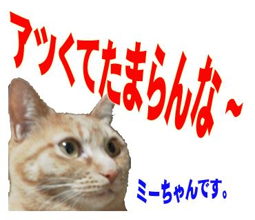 ミーちゃんのスタンプ パート2