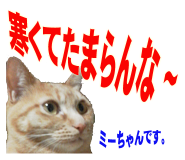 ミーちゃんのスタンプ パート2
