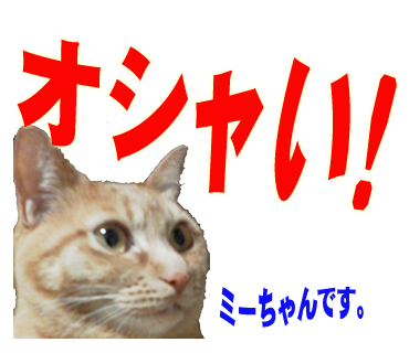 ミーちゃんのスタンプ パート2
