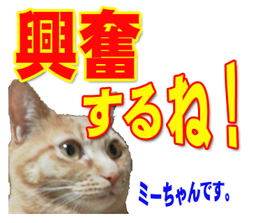 ミーちゃんのスタンプ パート2