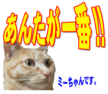ミーちゃんのスタンプ パート2