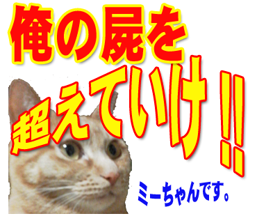 ミーちゃんのスタンプ パート2