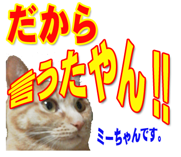 ミーちゃんのスタンプ パート2