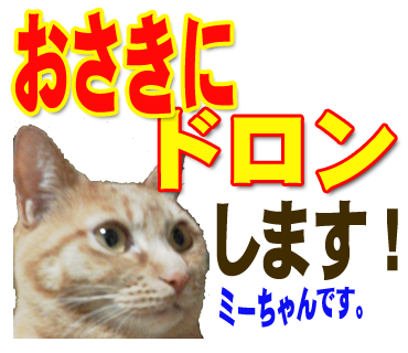 ミーちゃんのスタンプ パート2